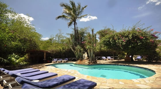 Fig Tree Camp Swimming Pool